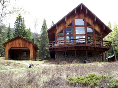 1630 Monument Gulch Way, Bellvue, CO 80512 - photo 3