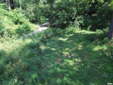 1004 34th Ave, Moline, IL 61265 - photo 3