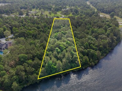 208 Fish Creek Thoroughfare, Montgomery, TX 77316 - photo 4