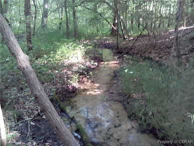 View of local wilderness