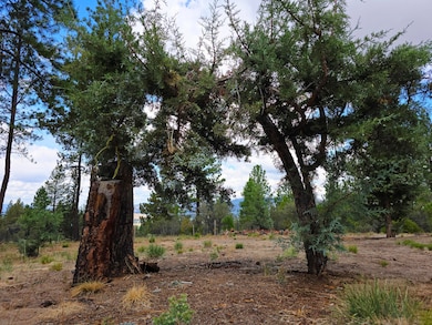 48070 Partin Dr, Beatty, OR 97621 - photo 2