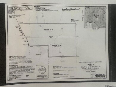 TBD Lot B Teal McDaniel Rd, Pine Grove, LA 70453 - photo 5