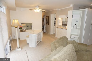 207 Erin Way unit T1, Reisterstown, MD 21136 - photo 4