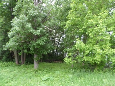 Great forested parcel