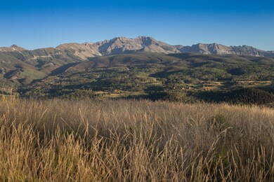IMG_0722