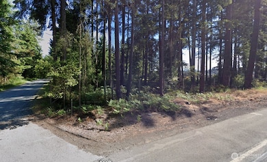 13311 200th St E, Graham, WA 98338 - photo 7