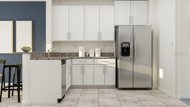 6732 Back Forty Loop, Zephyrhills, FL 33541 - photo 6