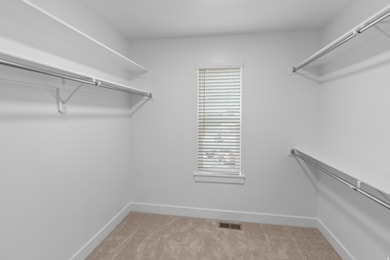Spacious closet with light carpet