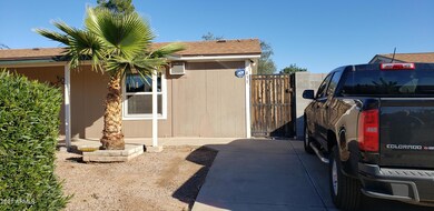 Saguaro Front Yard 2