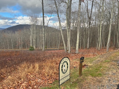 DR #50 N Forest Trail, Hot Springs, VA 24445 - photo 4