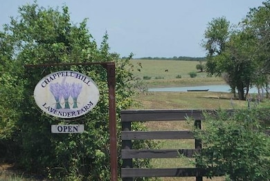 Lot 15 Winding Branch, Chappell Hill, TX 77426 - photo 6