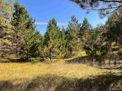 TBD E Martin Lake Rd, Forsyth Township, MI 49885 - photo 7