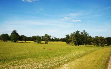 LOT50 Upstage Glen, Lake City, FL 32024 - photo 3