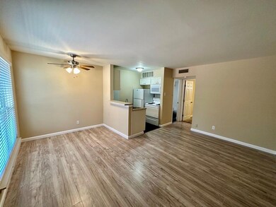 5124 Live Oak St unit 104, Dallas, TX 75206 - photo 4