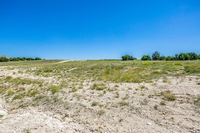 1073 Eagles Bluff Dr, Weatherford, TX 76087 - photo 4