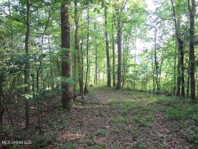 567 Walnut, Walnut, MS 38683 - photo 6