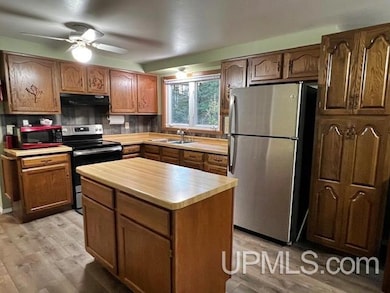 N19075 Doris Rd, Dunbar, WI 54119 - photo 4