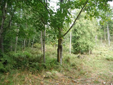 0 Fisk Rd E unit 693308, Orting, WA 98360 - photo 3