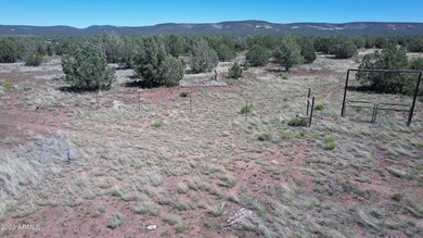 DJI_0798