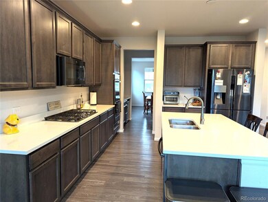 6627 Leilani Ln, Castle Rock, CO 80108 - photo 6