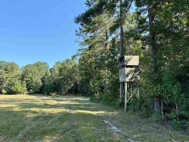 28+/- Acres-TBD Frank Cribb Rd, Georgetown, SC 29440 - photo 2