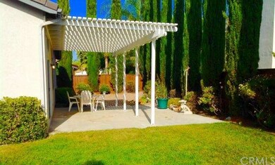 Back Yard east view