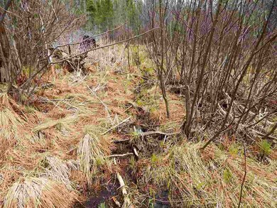 0 Howard Rd, Chandler Township, MI 49713 - photo 7