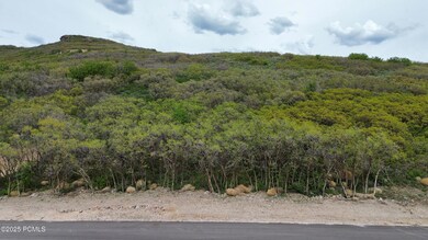dji_fly_20250528_161422_153_174847073506