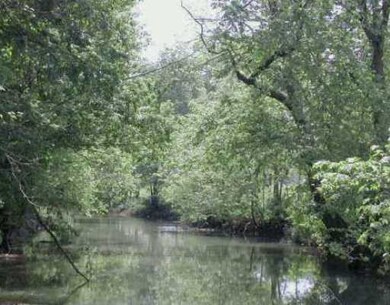 Lot 5 Ford Rd, Bentonville, AR 72712 - photo 3