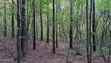 Lot 21 Airport Rd (Pca), Rockwood, TN 37854 - photo 7