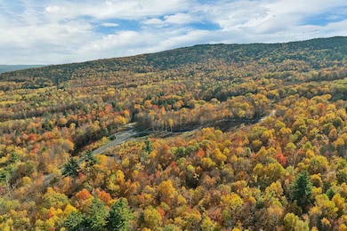 11 Fieldstone Way, Gilford, NH 03249 - photo 6