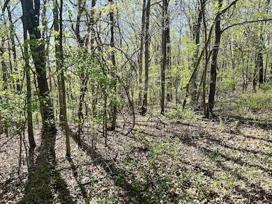 L42a & 43a Eaglecrest Rd, Cape Fair, MO 65624 - photo 3