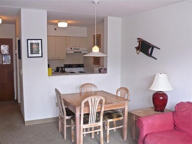 28 Packard Rd unit 302, Waterville Valley, NH 03215 - photo 5