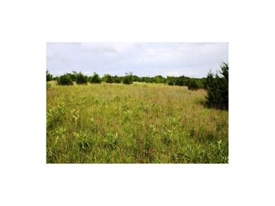 Pasture is loaded with wildflowers.