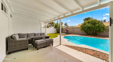 Backyard2
