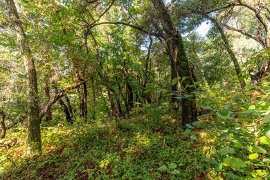 Lot 53 Lakeview Ave, Lompico, CA 95018 - photo 7