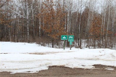 0 W Minerva Dam Rd unit 1539971, Swiss, WI 54830 - photo 5