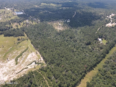 0 Doe Ridge Highland, Lucedale, MS 39452 - photo 6