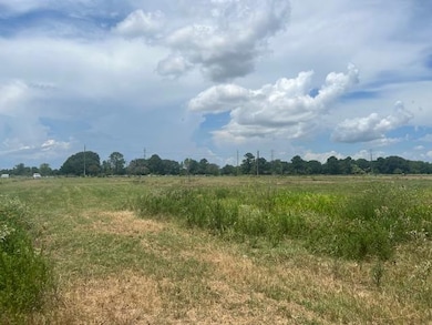 11403 Fm 1994 Rd, Guy, TX 77444 - photo 2