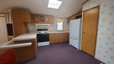 Cactus wren kitchen