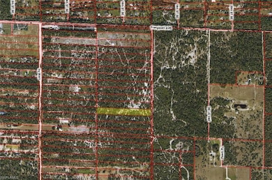 xx Frangipani Ave, Naples, FL 34117 - photo 2