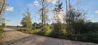 8692 E Baseline Rd, Mount Pleasant, MI 48858 - photo 7