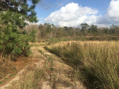 15859 Woodhollow Dr, Conroe, TX 77385 - photo 7