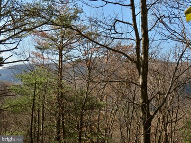 67 Briar Ridge Ln, Sperryville, VA 22740 - photo 2