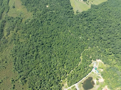 0 W Short Rd unit 25026044, Sanford, MI 48657 - photo 6