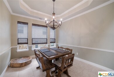 3826 Ox-Eye Daisy, San Antonio, TX 78261 - photo 7