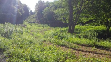 20150803_175344 (800x450)