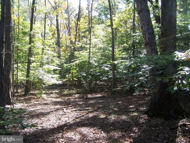 6501 Union Mill Rd, Clifton, VA 20124 - photo 4