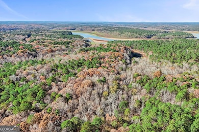 11.62+/- AC New Franklin Rd, Hogansville, GA 30230 - photo 3