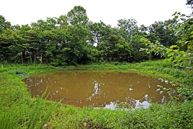 IMG_6941